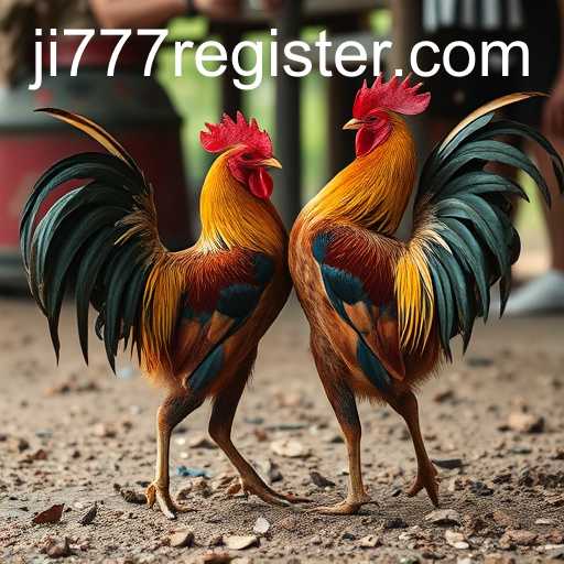 The Enduring Tradition of Cockfighting: Past and Present